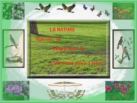 La Nature 的图像结果