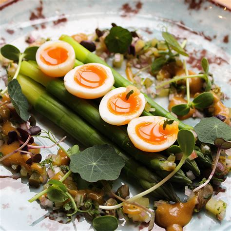 Refectory 的图像结果