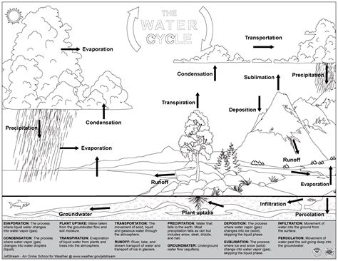 Simple Water Cycle Display Poster (Teacher-Made) Twinkl, 40% OFF