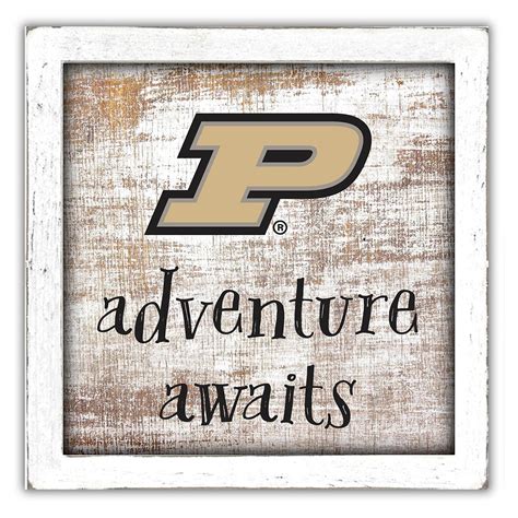 Lids Purdue Boilermakers 14'' x 13'' Adventure Awaits Money Box ...
