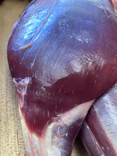 Muscle Worms in Deer Meat: What You Need to Know - The Deer Hunting