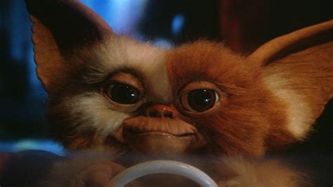 Gremlins Wallpapers - WallpaperSafari