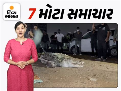 Rescue of 40 hoofed crocodiles in 5 days in Vadodara, VIDEO