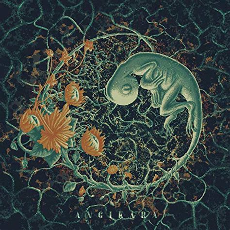 Angikara by Mature Over Rated Animals on Prime Music