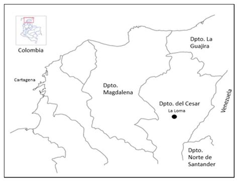 Characterization and Potential Use of Biochar for the Remediation of ...