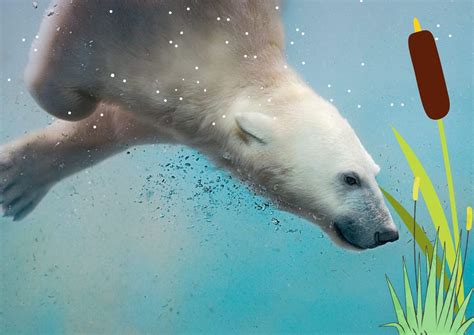 BloteVoetenPark Nieuwjaarsduik, Ganzepool 15, 6443 WZ Brunssum ...