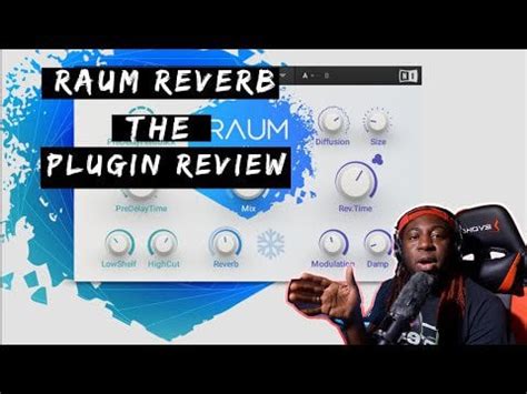 Image result for Native Instruments Raum