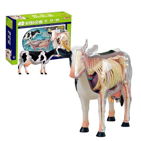 Ecisi Premium 4d Vision Cow Full Skeleton Anatomy Model 4d | Desertcart ...