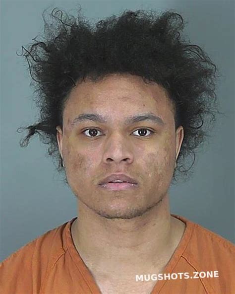 ZATAVIUS CHRISTIAN SCOTT 11/24/2024 - Spartanburg County Mugshots Zone