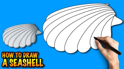 Image result for Shelldrawing