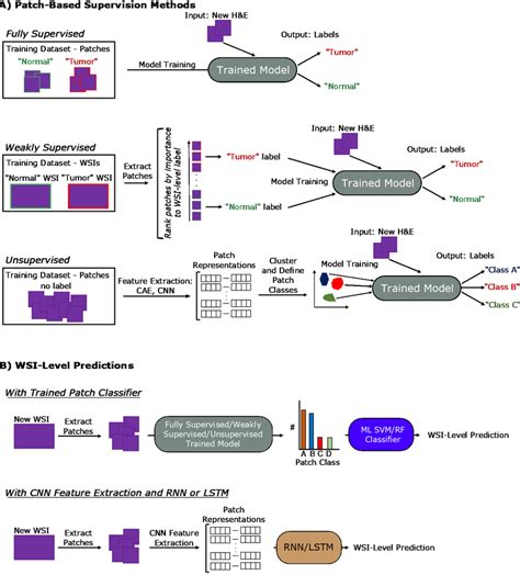 Deep Learning Model Training. Examples 的图像结果