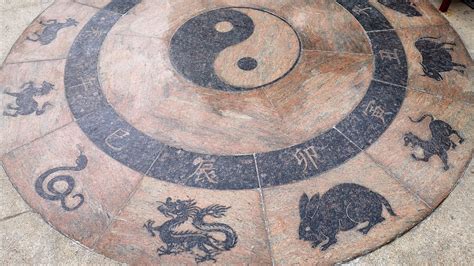 Chinese Zodiac Signs: Discover Your Animal and Its Meaning