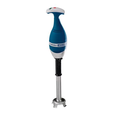 Electrolux Professional BP4535 Bermixer Pro Immersion Blender, 450 W