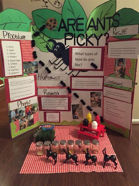 Science Project 的图像结果