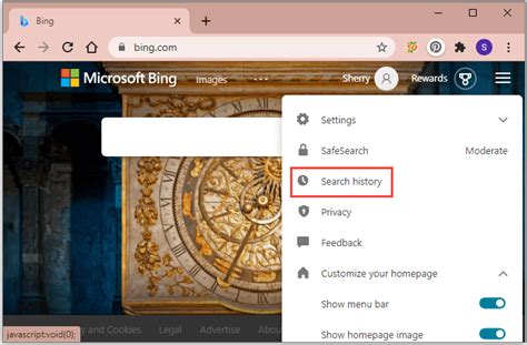 View Browser History Bing 的图像结果