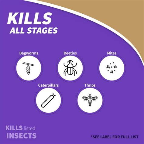 Bonide 1-Quart Captain Jack's Concentrate Natural Garden Insect Killer ...