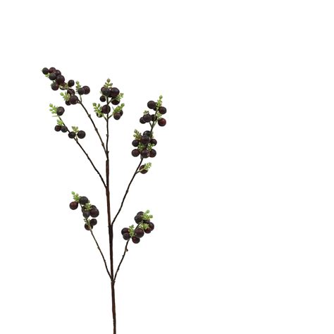 Merci | Natural Berries | Now in Dehradun – Mérci Dehradun