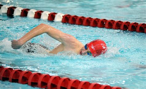 Swim Gallery Aleks 的图像结果