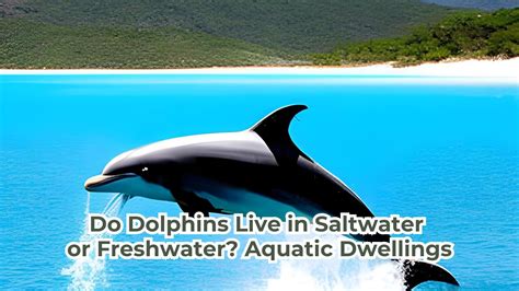 Do Dolphins Have Blowholes