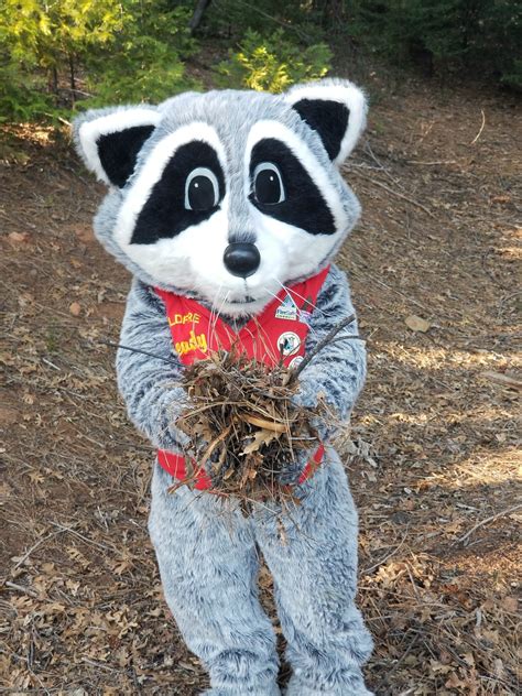 Summer 2023 WUI Green Waste Schedule - buttefiresafe.net