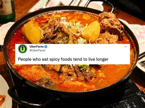 Crazy Fun Stuff 的图像结果