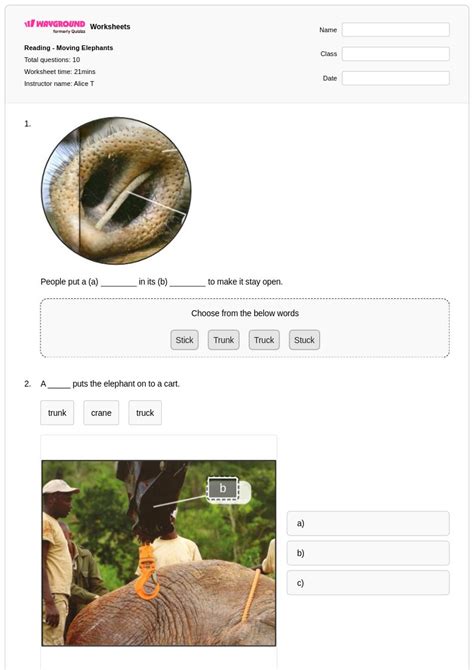50+ Reading worksheets for Class 3 on Wayground | Free & Printable