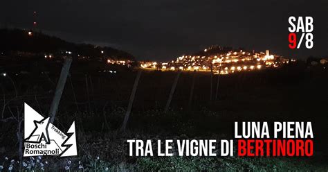 Luna piena tra le vigne di Bertinoro, Gelateria Km7 (Bertinoro, Emilia ...