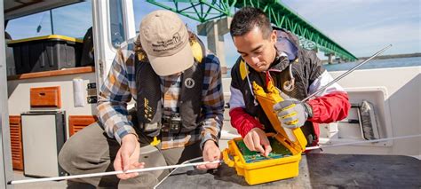 Environmental Engineering Projects 的图像结果