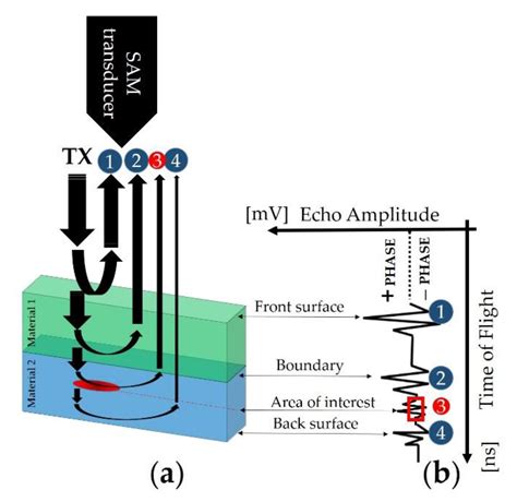Scanning Acoustic Microscopy (SAM): A Robust Method for Defect ...