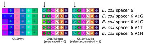 CRISPRStudio: A User-Friendly Software for Rapid CRISPR Array Visualization