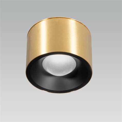 Alpen Brass LED Surface Light | Light & Living