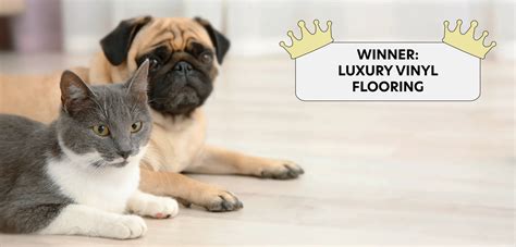 What’s The Best Flooring for Pets? | Urban Surfaces