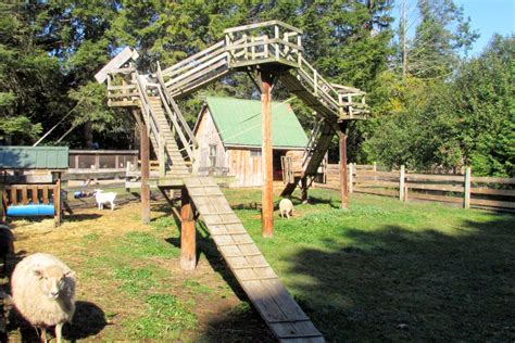goat pallet playground - Google Search | Goat playground, Goat shelter ...