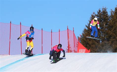Snowboard Types 的图像结果