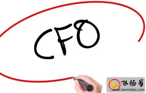 CFO与FC:到底谁是财务总监?