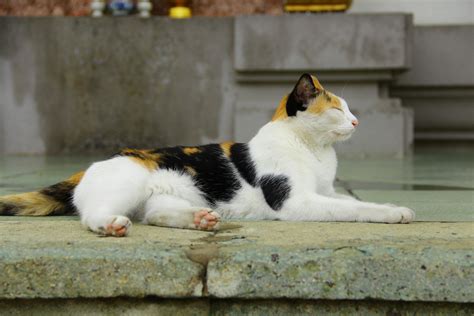 Only Fans Content Photos, Download The BEST Free Only Fans Content ...