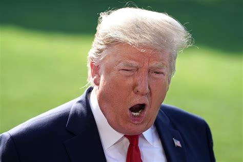 Trump 的图像结果