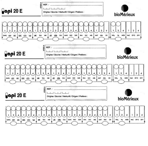 Image result for API 20E Instructions.pdf