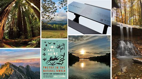U.S. Poet Laureate Ada Limón to Launch “You Are Here” with Anthology of Nature Poems, Poetry ...