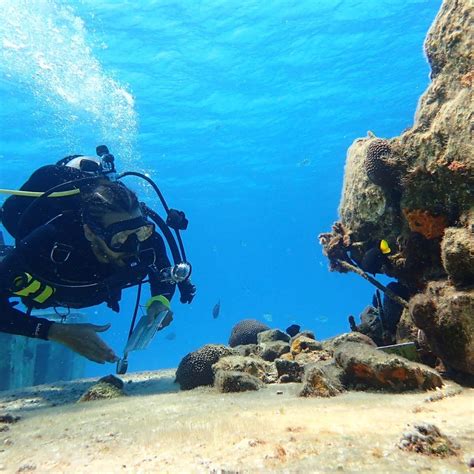 SCUBA HUNT-COZUMEL (DIVE CHALLENGE GAME) - All You Need to Know BEFORE ...