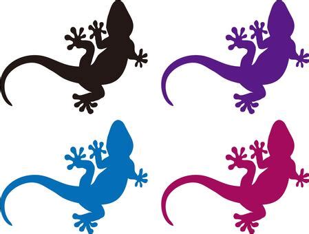Image result for Read Python