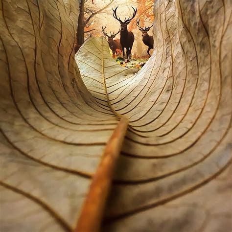 Its all about perspective. [pic] : r/woahdude
