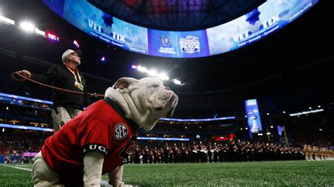 Uga X, Georgia Bulldogs mascot who retired in 2022, dies - painting of uga mascot
