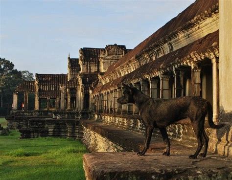Discover Thailand’s Neighboring Countries