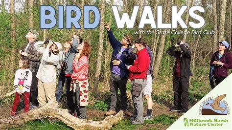 Bird Walks with the State College Bird Club, 548 Puddintown Rd, State ...