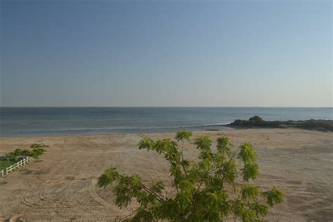 Barracuda Beach Resort Bar and Lounge: Pictures & Reviews - Tripadvisor