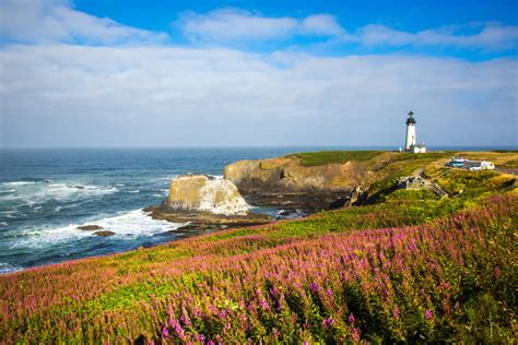 PEO - Nonprofit Association of Oregon