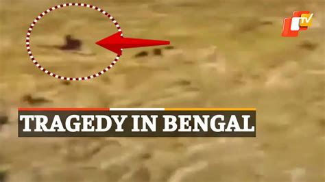 Flash Flood During Durga Idol Immersion In Jalpaiguri West Bengal ...