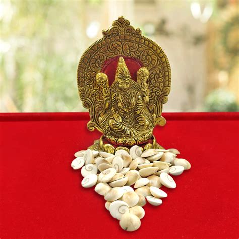 Buy Shubhanjali Natural Gomti Chakra Original (25 Pieces), Gomati ...