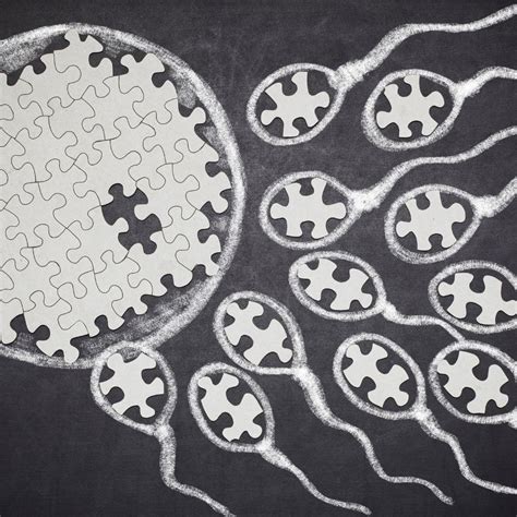 Does Caffeine Affect Sperm? Caffeine And Male Fertility – CAFFEINEcontrol